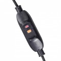 mzw3500000_6.jpg