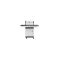 grill-gazowy-31-stal-nierd-gazowy-31-stal-nierdzewna-93kw.webp