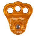 TU421_MG_9246_orange.jpg