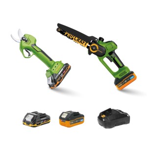PROCRAFT Zestaw pilarka i sekator akumulatorowy PA168SET