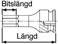 151430105Teng.jpg